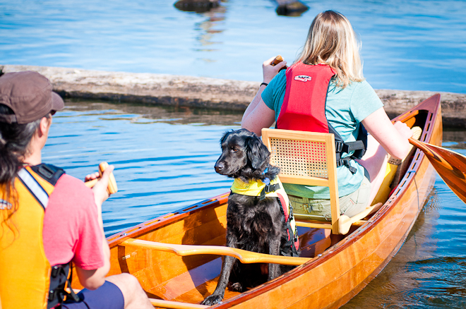 doggie canoing
